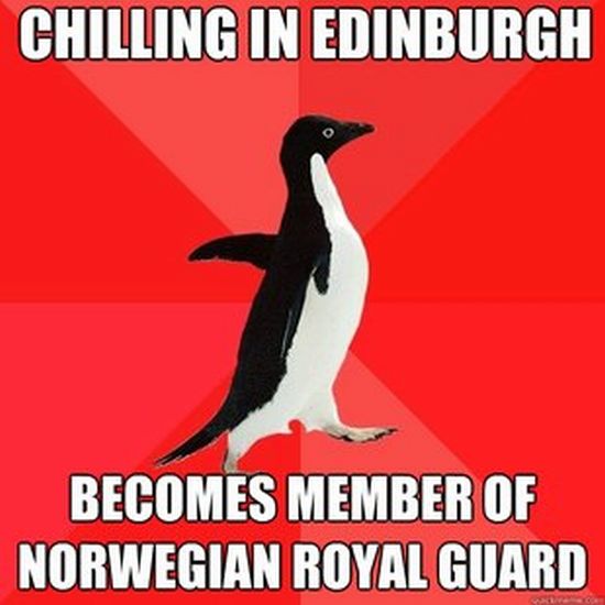 Socially Awesome Penguin (52 pics)