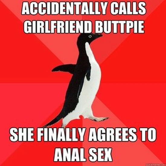 Socially Awesome Penguin (52 pics)