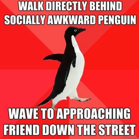 Socially Awesome Penguin (52 pics)