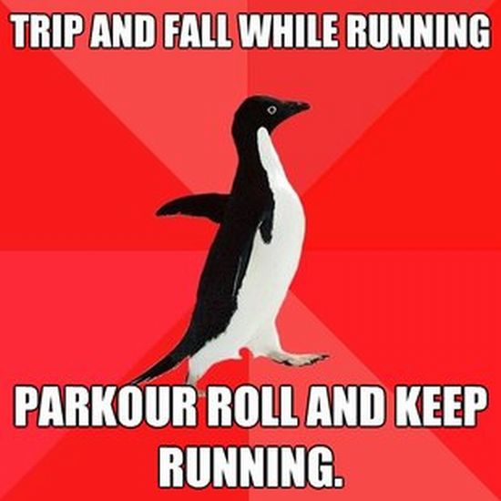 Socially Awesome Penguin (52 pics)