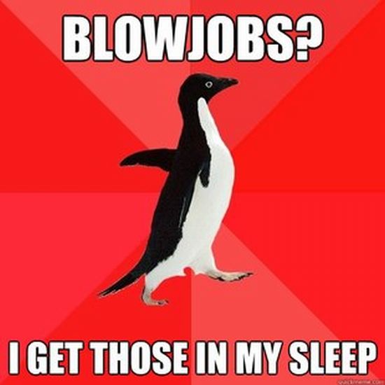 Socially Awesome Penguin (52 pics)