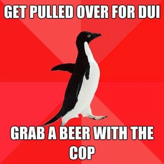 Socially Awesome Penguin (52 pics)