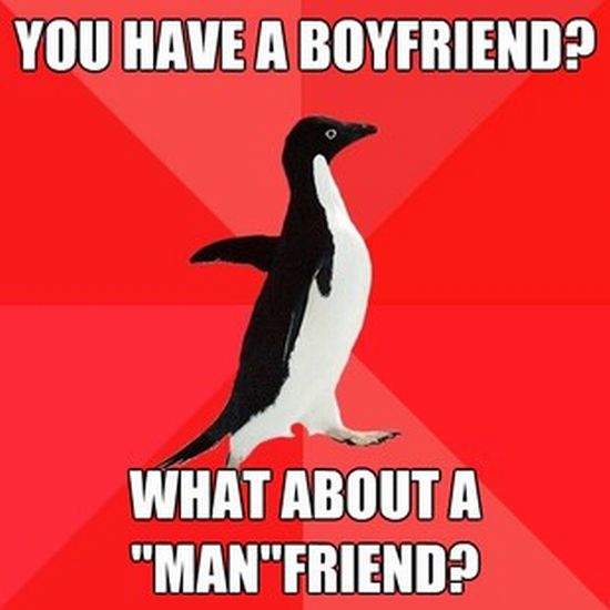 Socially Awesome Penguin (52 pics)