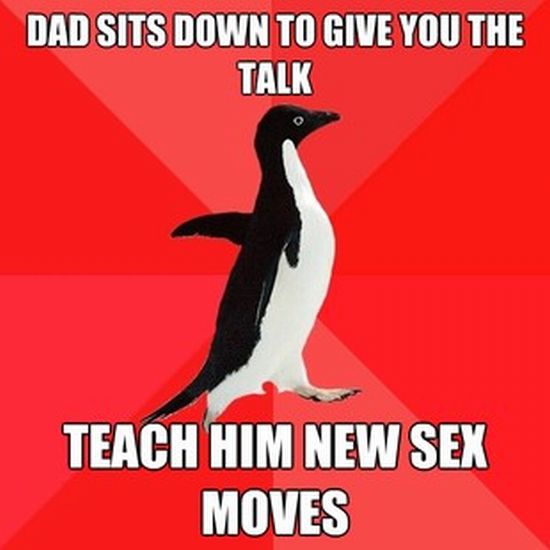 Socially Awesome Penguin (52 pics)