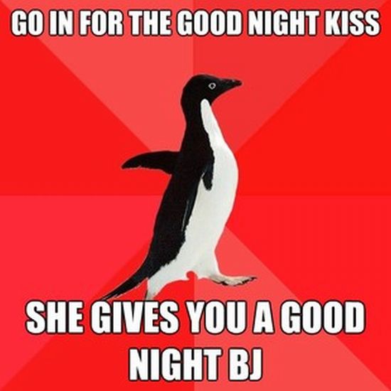 Socially Awesome Penguin (52 pics)