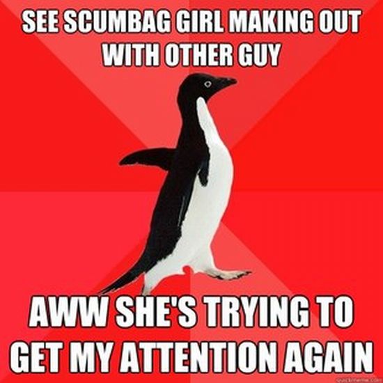 Socially Awesome Penguin (52 pics)