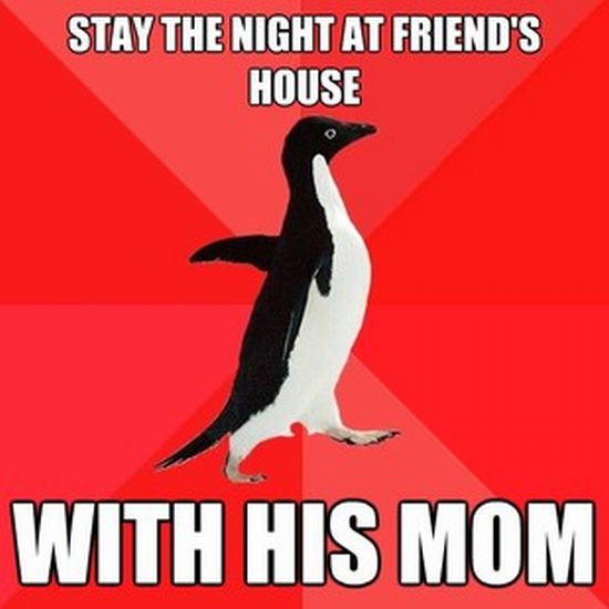 Socially Awesome Penguin (52 pics)