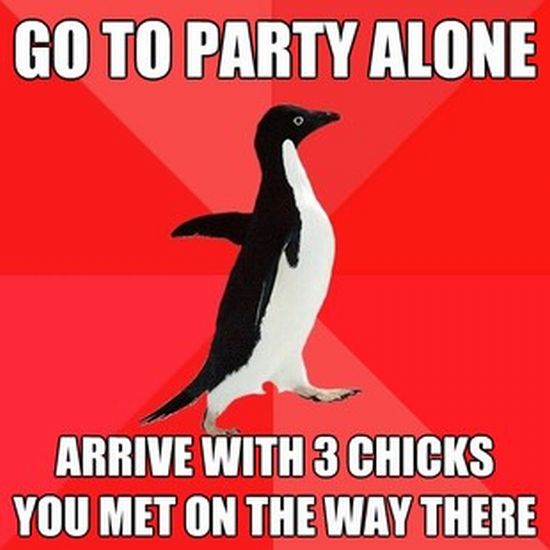 Socially Awesome Penguin (52 pics)