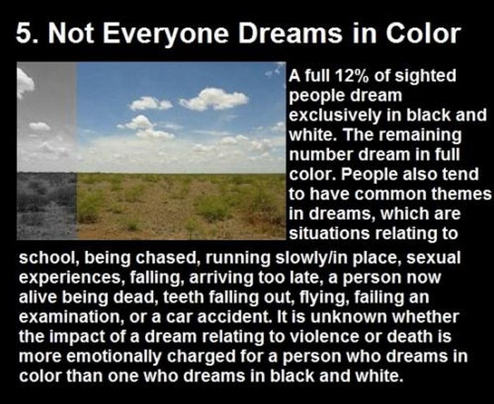 Facts About Dreams (11 pics)