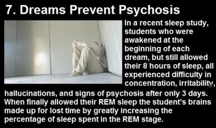 Facts About Dreams (11 pics)