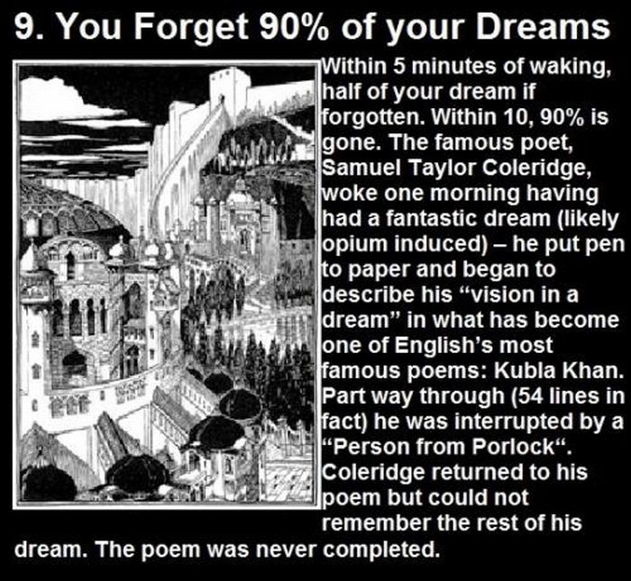 Facts About Dreams (11 pics)