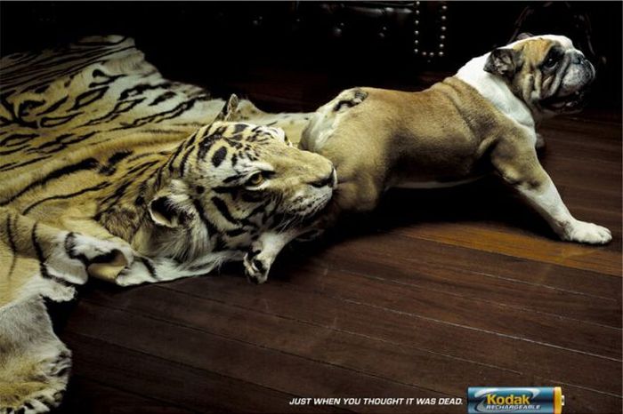 Hilarious Print Ads (43 pics)