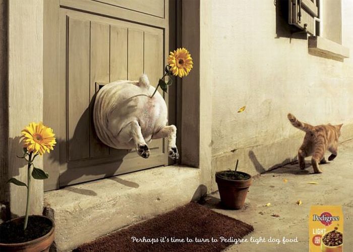 Hilarious Print Ads (43 pics)