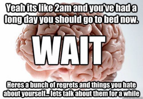 Scumbag Brain (70 pics)