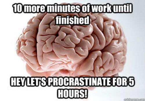 Scumbag Brain (70 pics)