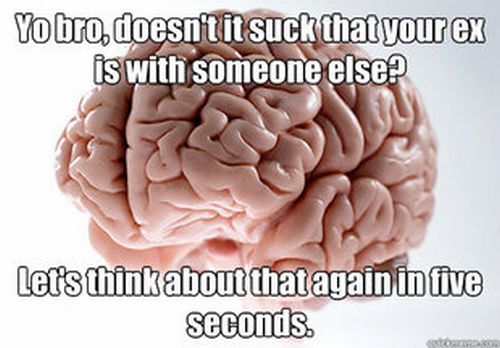 Scumbag Brain (70 pics)