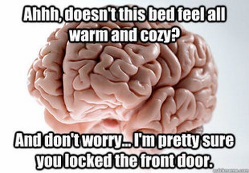 Scumbag Brain (70 pics)