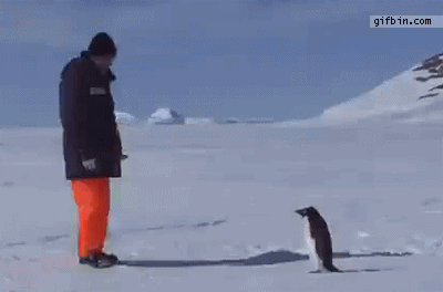 Fail Gifs (25 gifs)