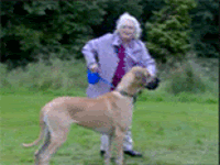 Fail Gifs (25 gifs)