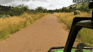 Fail Gifs (25 gifs)
