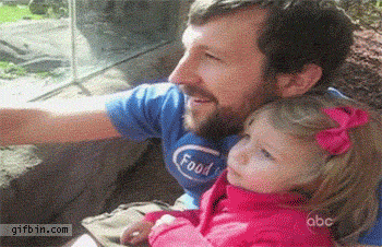 Fail Gifs (25 gifs)