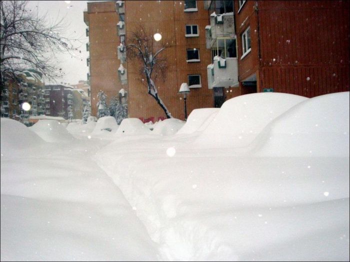 Too Much Snow (20 pics)