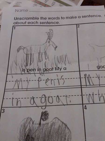 Funny Exam Answers. Part 4 (69 pics)