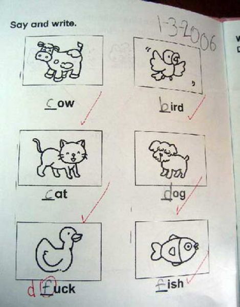 Funny Exam Answers. Part 4 (69 pics)