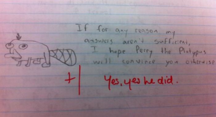 Funny Exam Answers. Part 4 (69 pics)