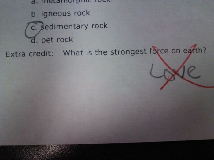 Funny Exam Answers. Part 4 (69 pics)