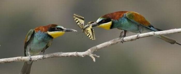 Sharing is Caring (5 pics)