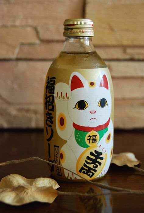 Crazy Japanese Packaging (70 pics)