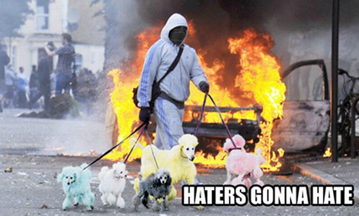 The Best Of Haters Gonna Hate (39 pics)