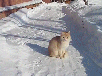 Acid Gifdump (10 gifs)