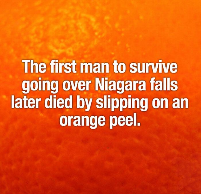 Random Facts About Everything (25 pics)