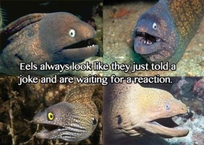 This Is Real Spit (33 pics)
