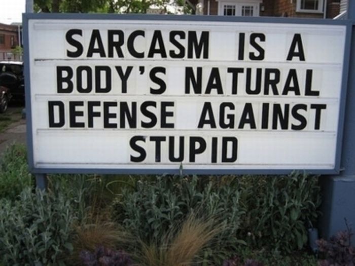 This Is Real Spit (33 pics)