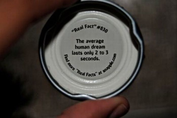 This Is Real Spit (33 pics)