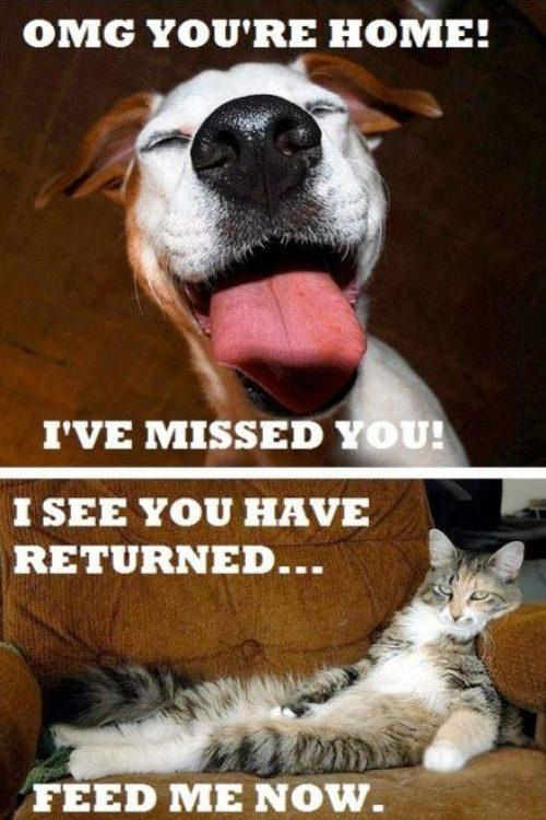 This Is Real Spit (33 pics)