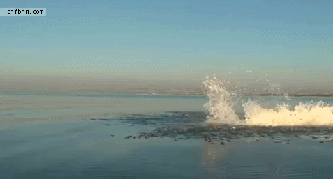 Acid Gifdump (10 gifs)