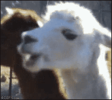 Acid Gifdump (10 gifs)