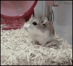 Acid Gifdump (10 gifs)