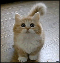 Acid Gifdump (10 gifs)