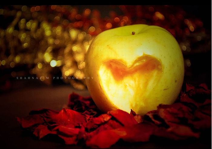 Happy Valentines Day Photos (50 pics)