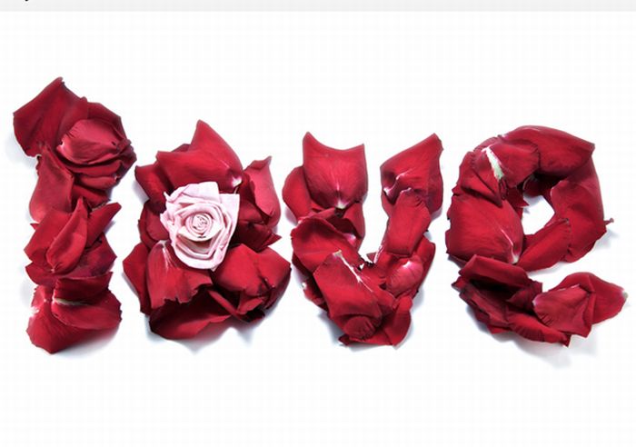 Happy Valentines Day Photos (50 pics)