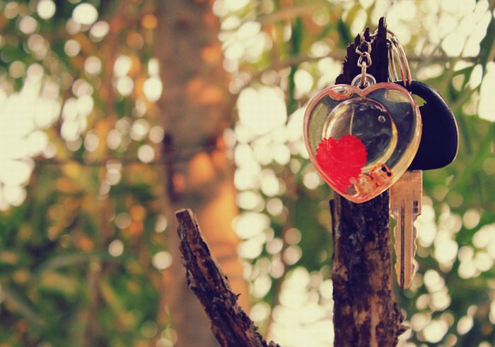 Happy Valentines Day Photos (50 pics)
