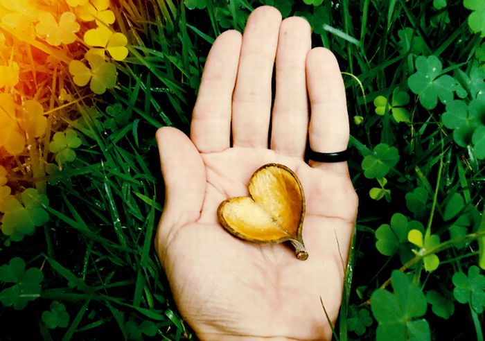 Happy Valentines Day Photos (50 pics)
