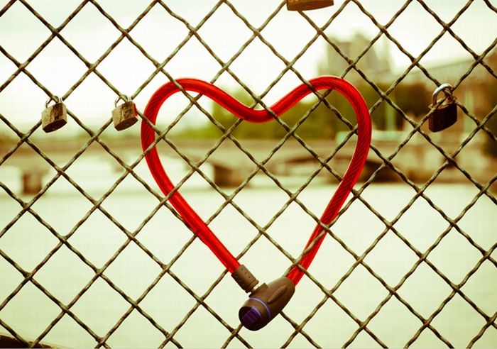 Happy Valentines Day Photos (50 pics)