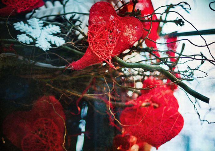 Happy Valentines Day Photos (50 pics)
