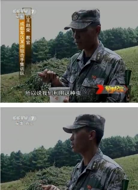 Chinese Snipers at Practice (8 pics)